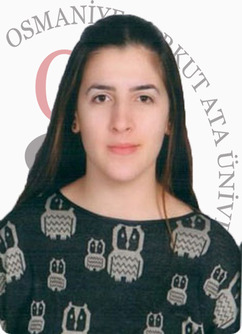 Arş. Gör. Gizem GÖKTUNA
